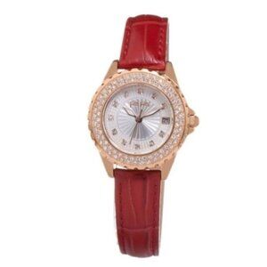 Ladies' Watch Folli Follie WF13B071STR (Ø 30 mm) NEW